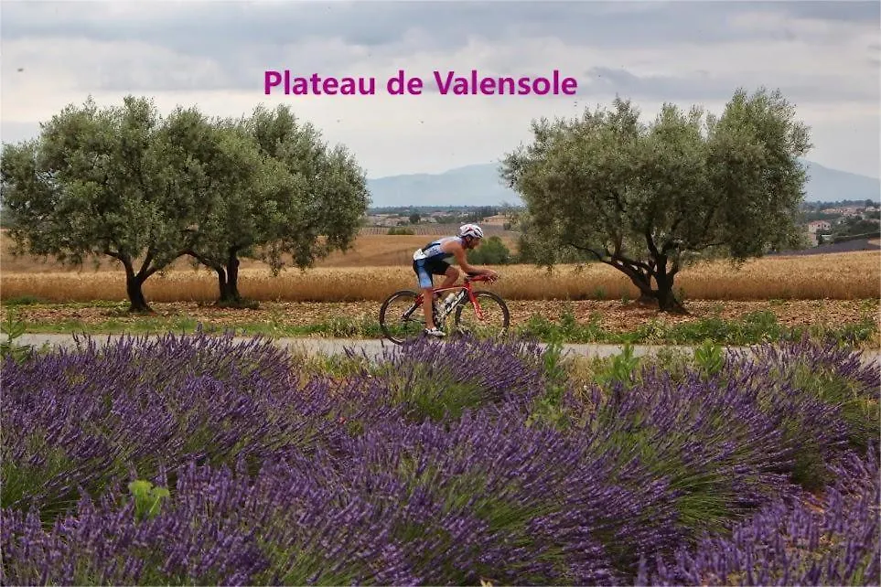 Appartamento T2 rue piétonne Digne les Bains
